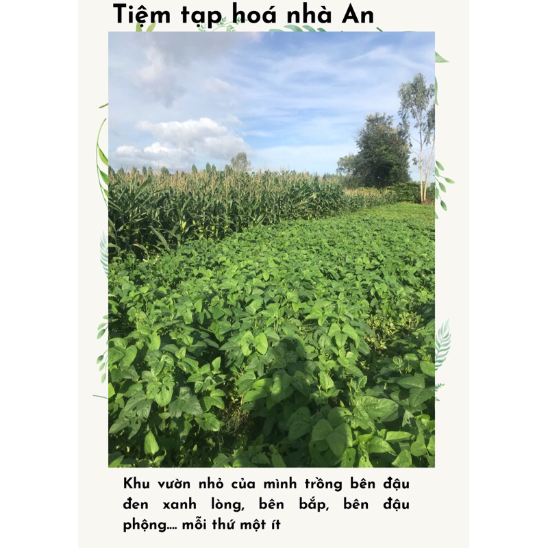 1kg Đậu đen xanh lòng Đăk Lăk