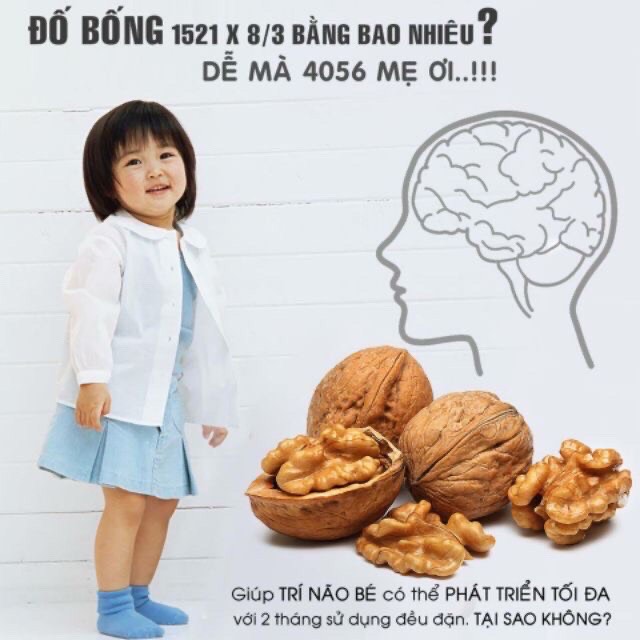 1KG ÓC CHÓ NẾP ĐẶC SẢN TÂY BẮC VỎ MỎNG NHÂN MẨY