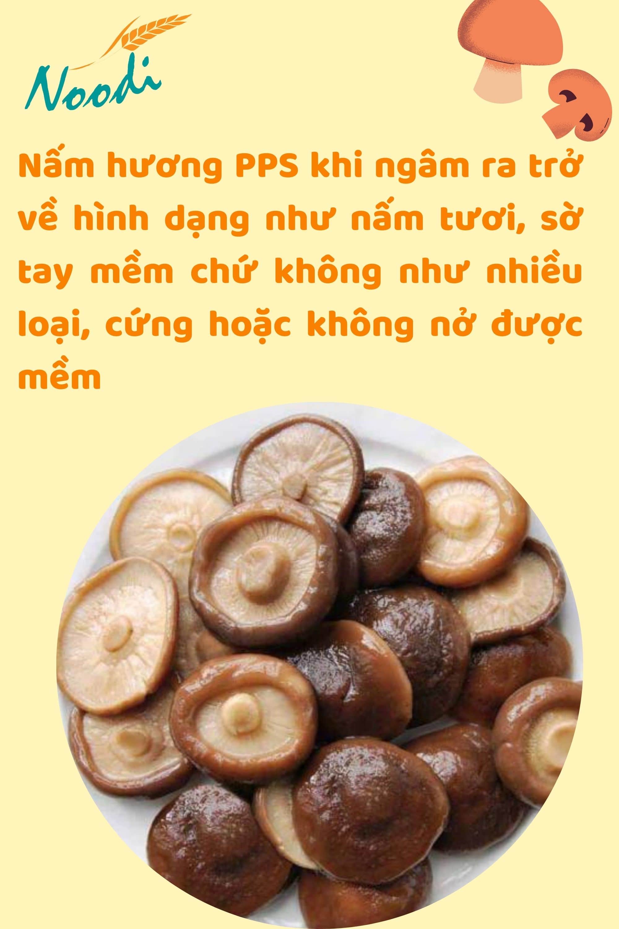 1KG  NẤM HƯƠNG SẠCH TÂY BẮC
