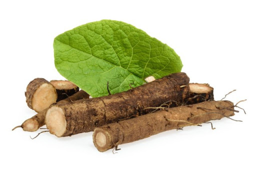 Hạt Giống Ngưu Bàng Thảo Dược (ECO.455)