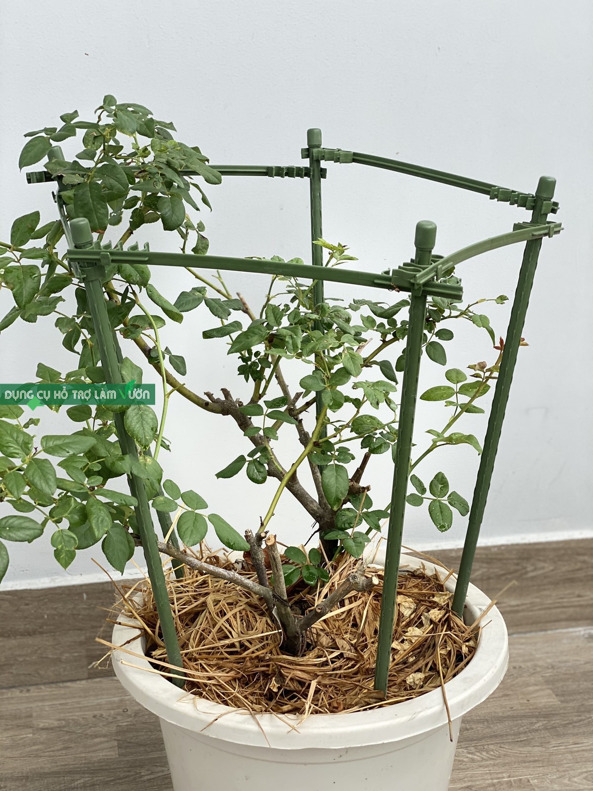 Khung trồng cây cao 60-90cm cạnh 28cm ngũ giác chuyên trồng hồng bụi hoa các loại