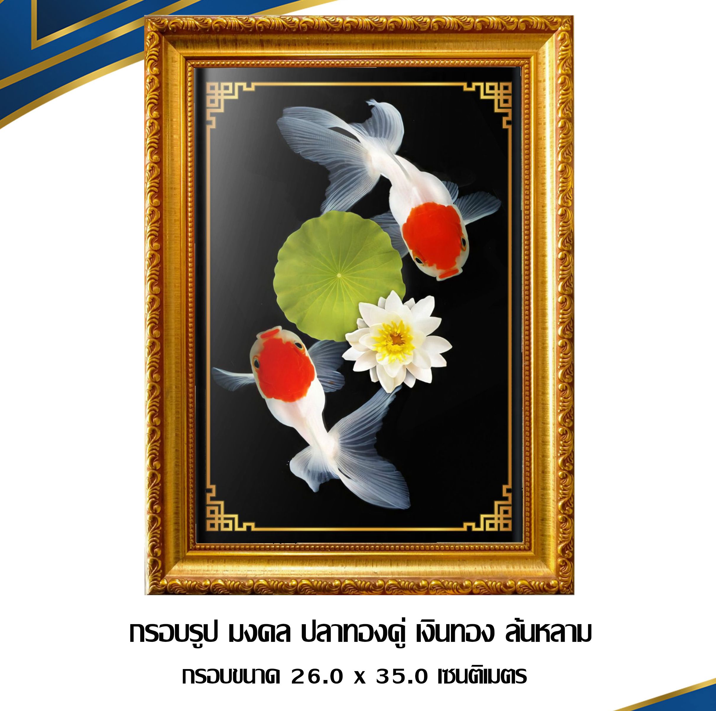 My Image 48