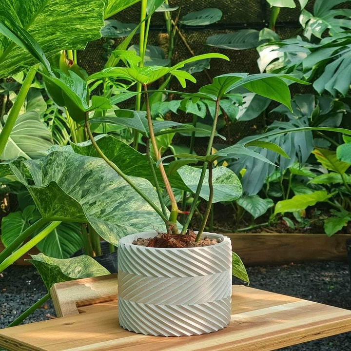 Chậu cây cảnh mini để bàn, chậu Xi măng Decor, Chậu bonsai chính hãng Cori PL10 11x8.5cm, trồng cây cảnh, sen đá, xương rồng