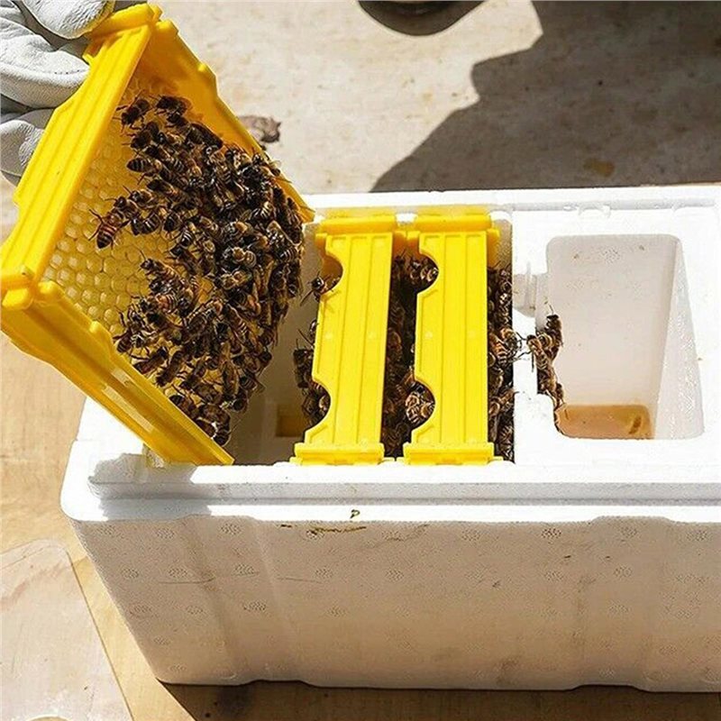 Queen Bee Rearing Mating Beehive Beekeeping Tool Foam Pollination Box ...
