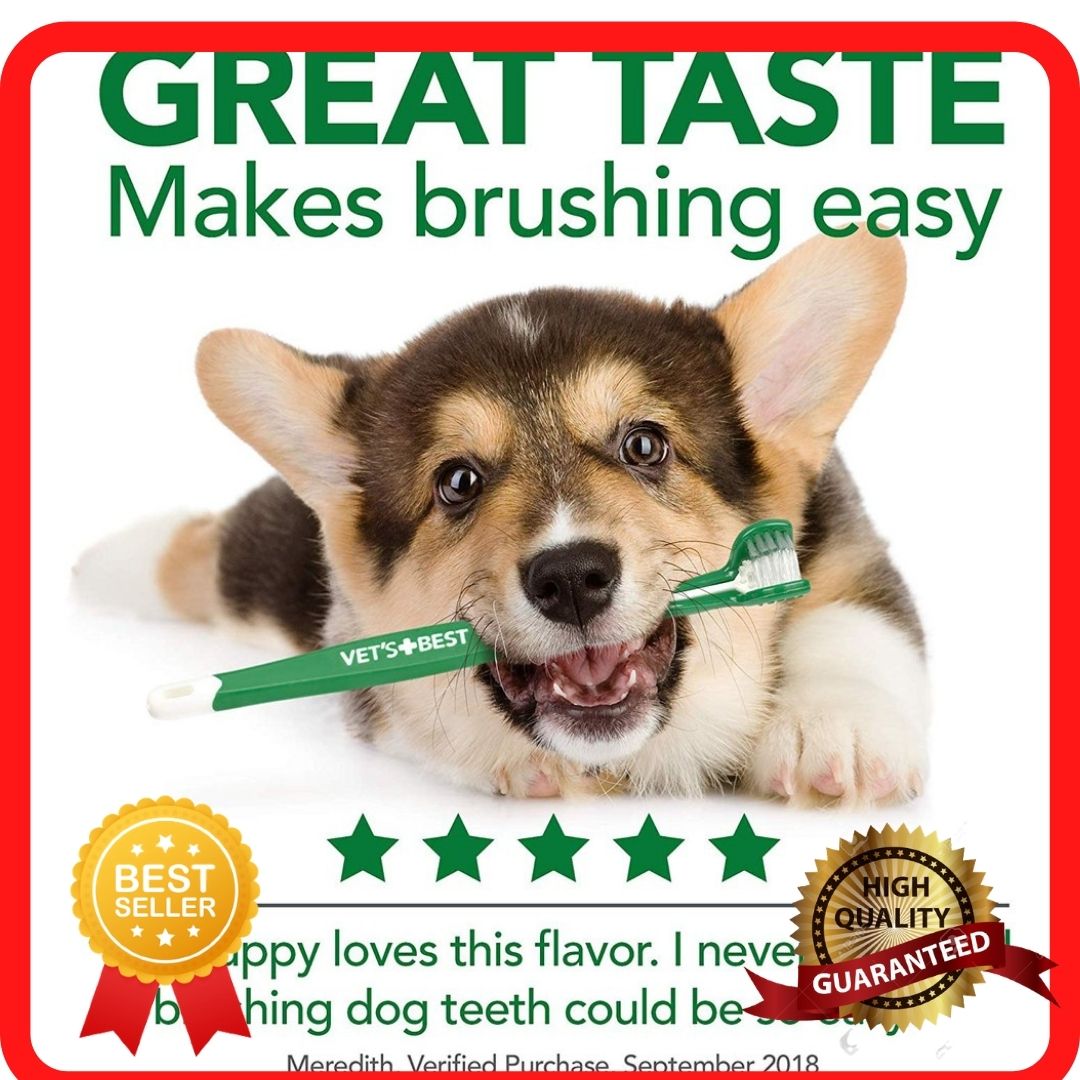 nunbell dog toothpaste