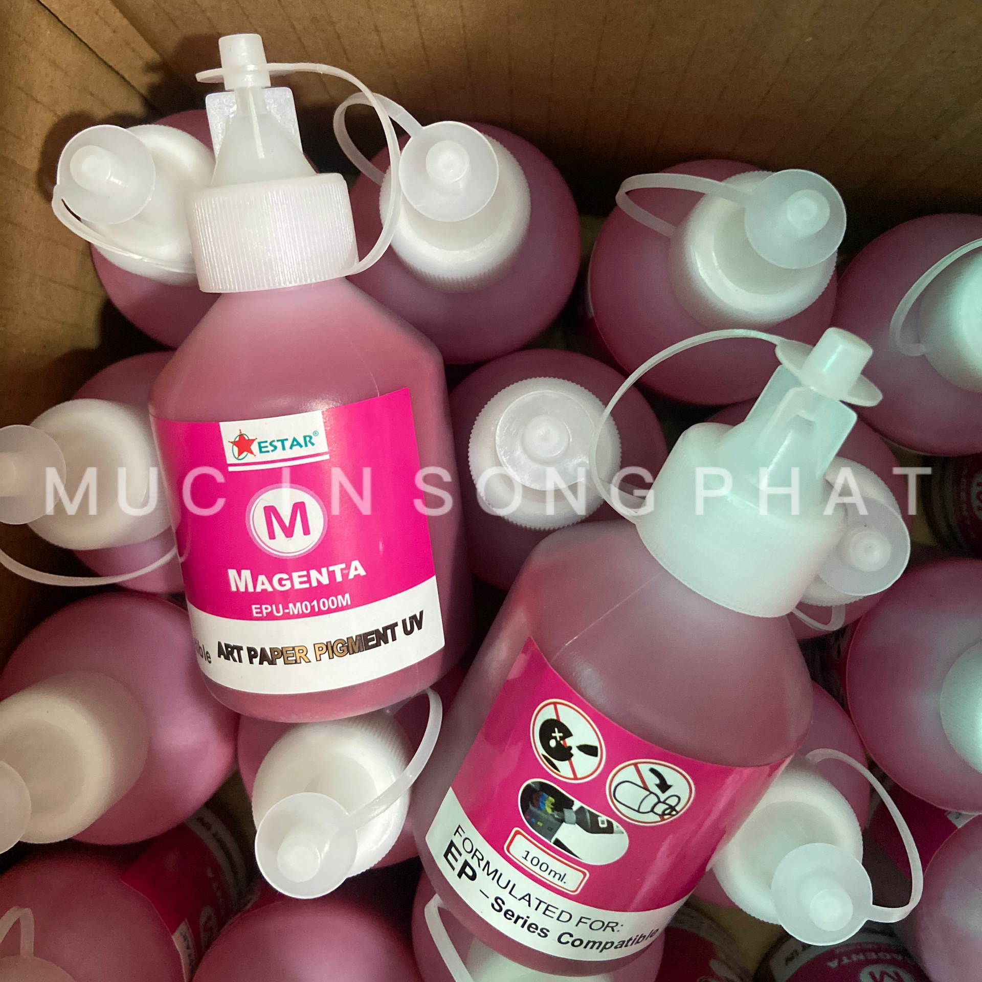 Mực dầu Pigment UV Epson 100ml (Giá tính trên 1 màu)