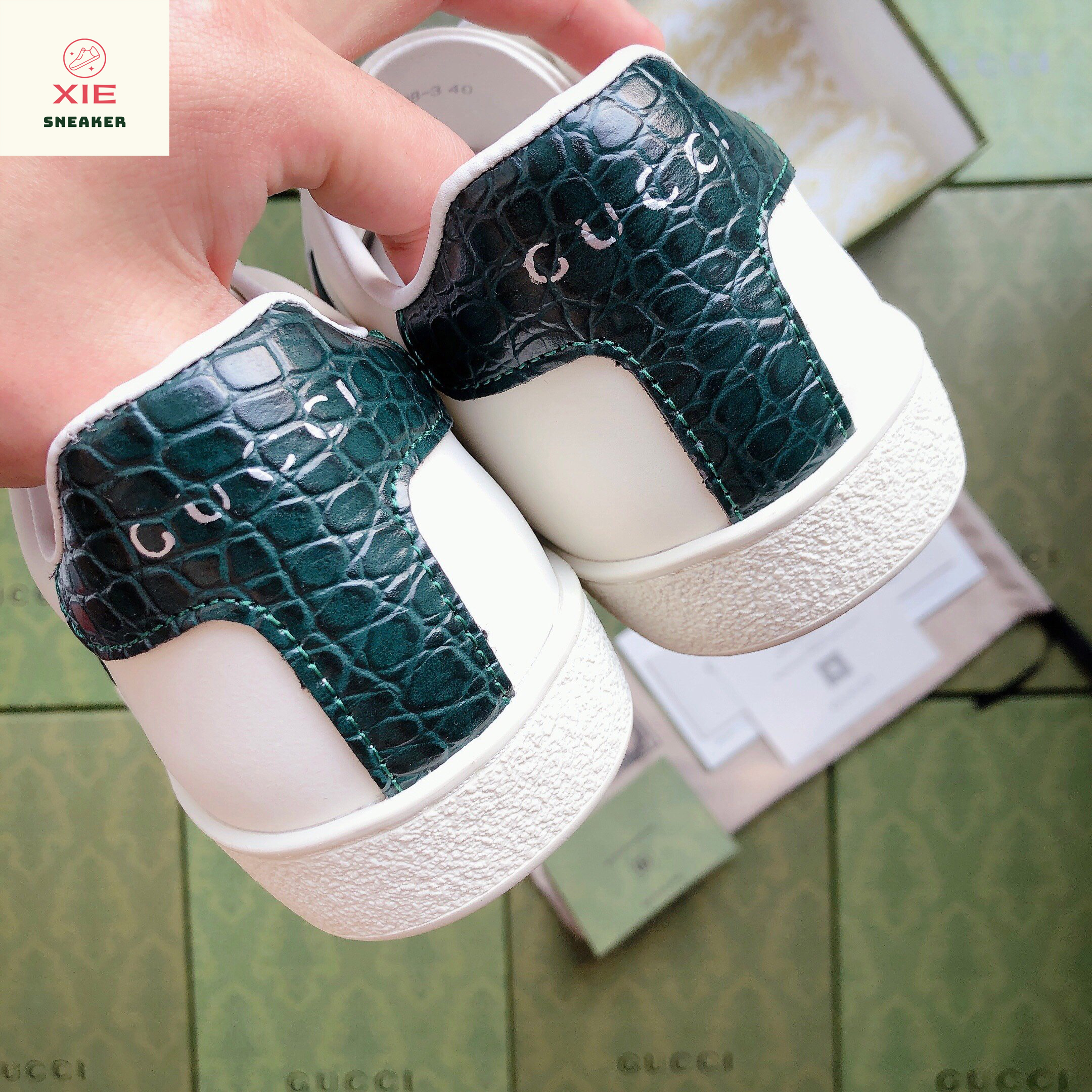 Giày Gucci ACE Trơn - 1.1 + [Tặng thêm 1 bộ dây + FreeShip + Full Box + Bill + Phụ Kiện]