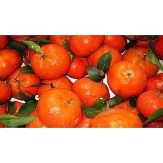 [HN] Cam Canh Đường Ngọt Mọng Nước - Giao Siêu Tốc 1h