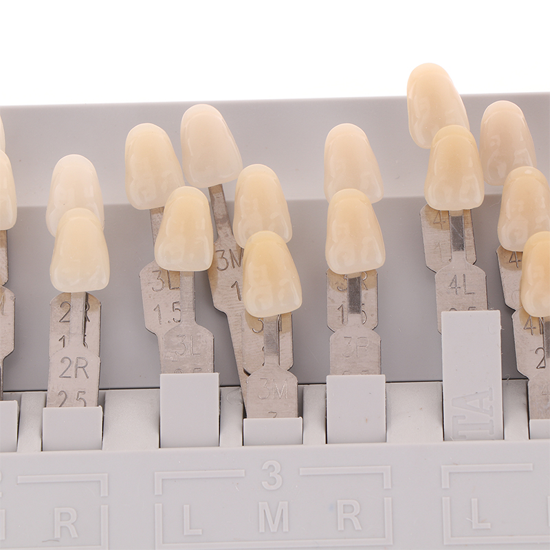Vita 3D Master Dental Lab Bleach Shade Guide 16/29 Colors Teeth ...
