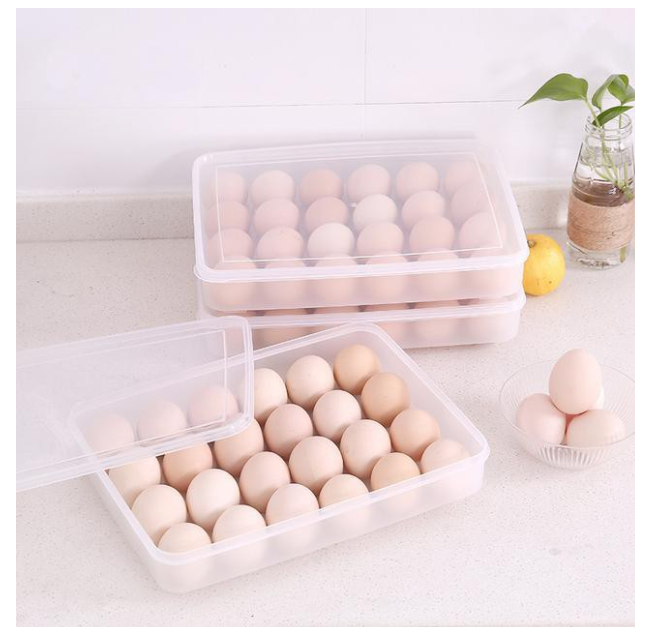 Khay đựng trứng bỏ tủ lạnh 24 ô việt nhật