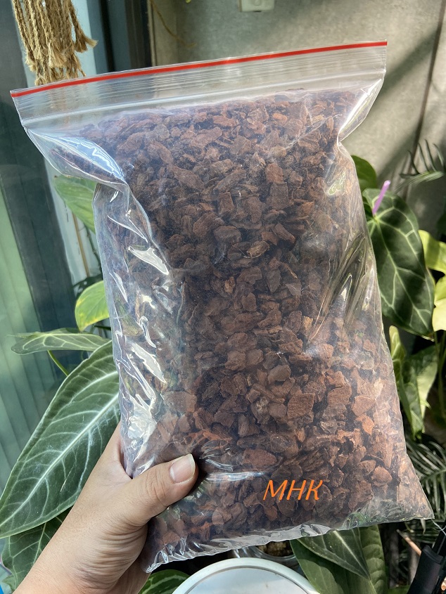 1Kg Vỏ Thông nhập khẩu Bồ Đào Nha ! Thông dày , cạnh tròn .