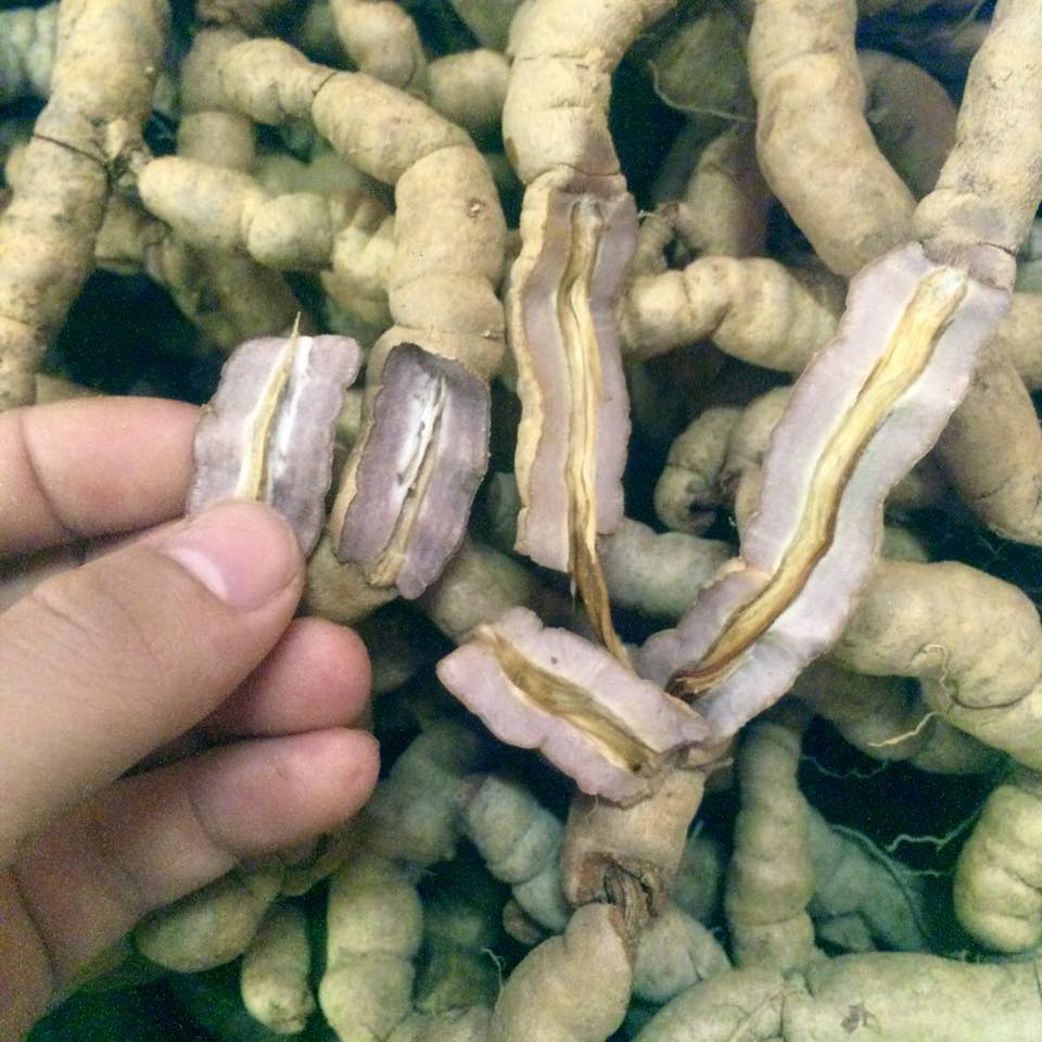 củ ba kích ,1kg củ ba kích tím tươi (hàng rừng), đã làm sạch