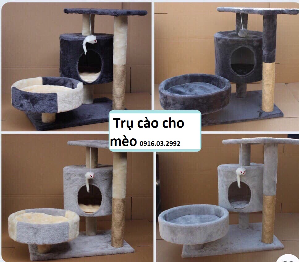 Nhà cây cho mèo, Catree cho mèo