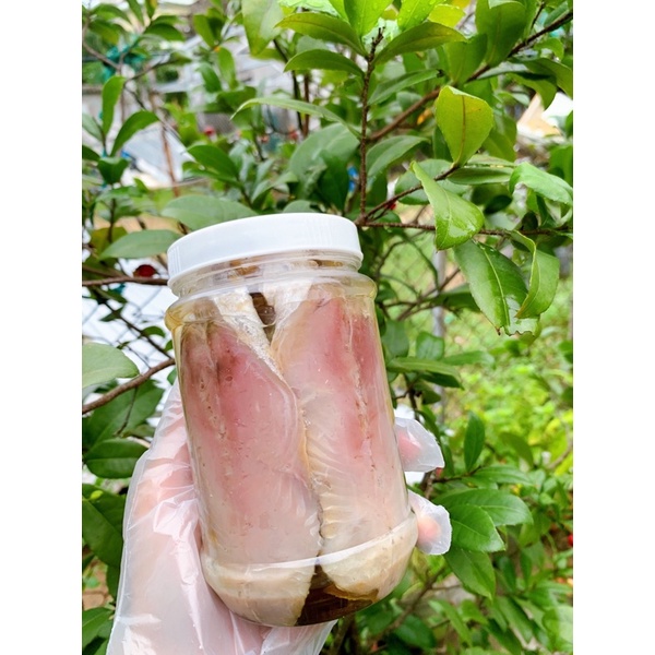 Mắm cá thu ngâm dầu-đặc sản phú yên-hộp 500gr