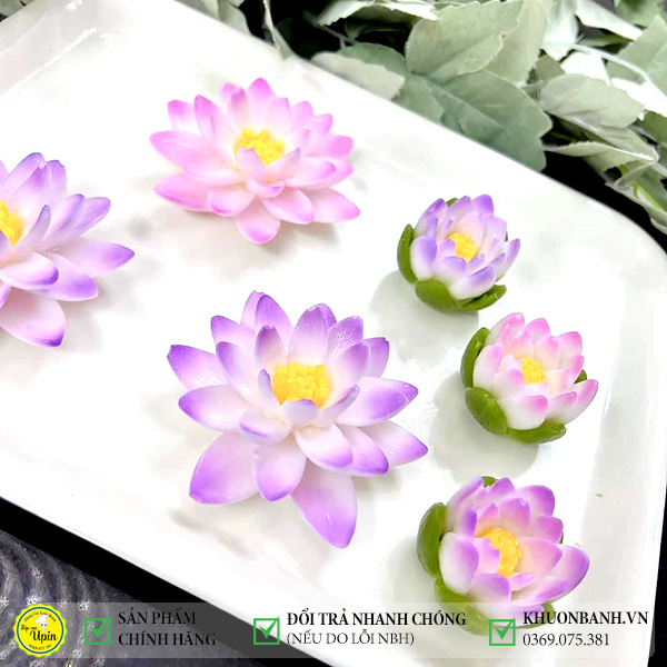Khuôn silicon 4d hoa súng thái làm bánh rau câu