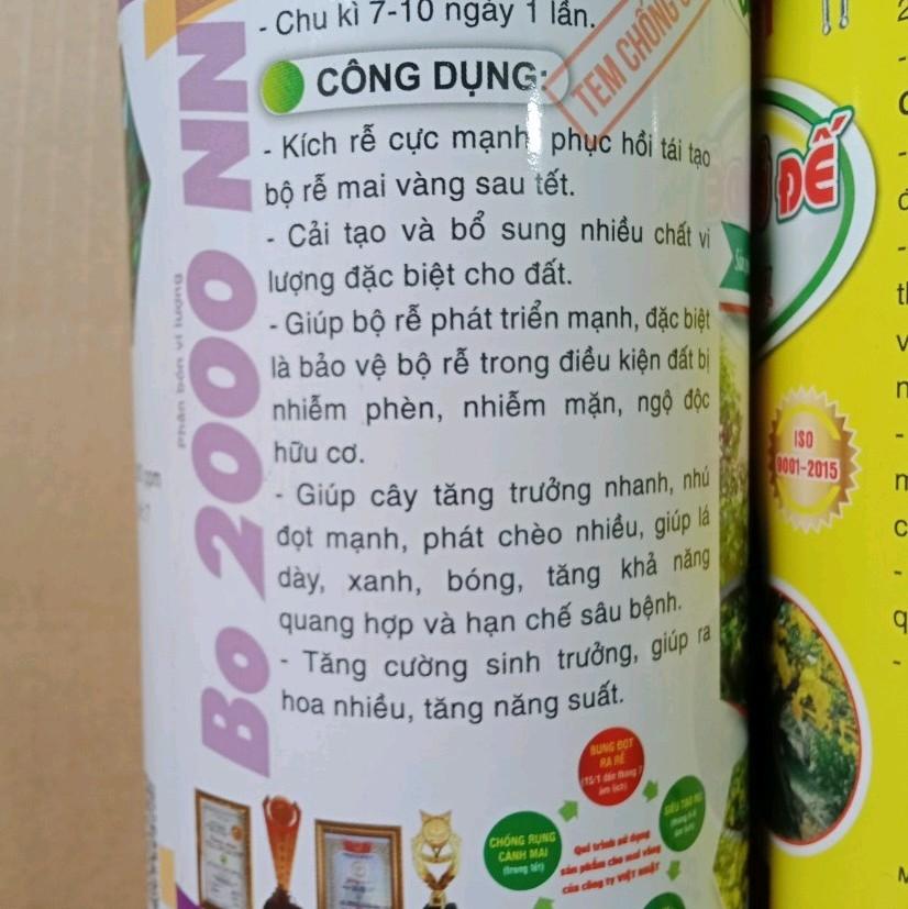 Max root - Bung đọt ra rễ mai vàng