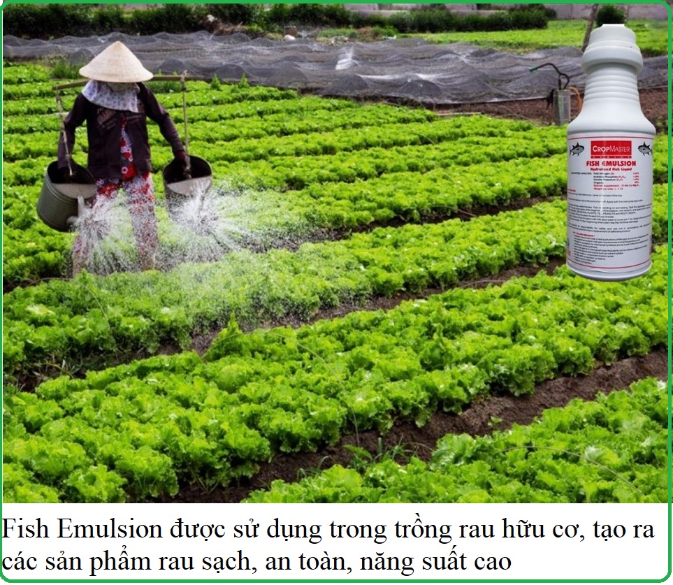 Phân cá (Đạm cá) cô đặc Mỹ Fish Emulsion 500ml dùng cho mọi cây trồng