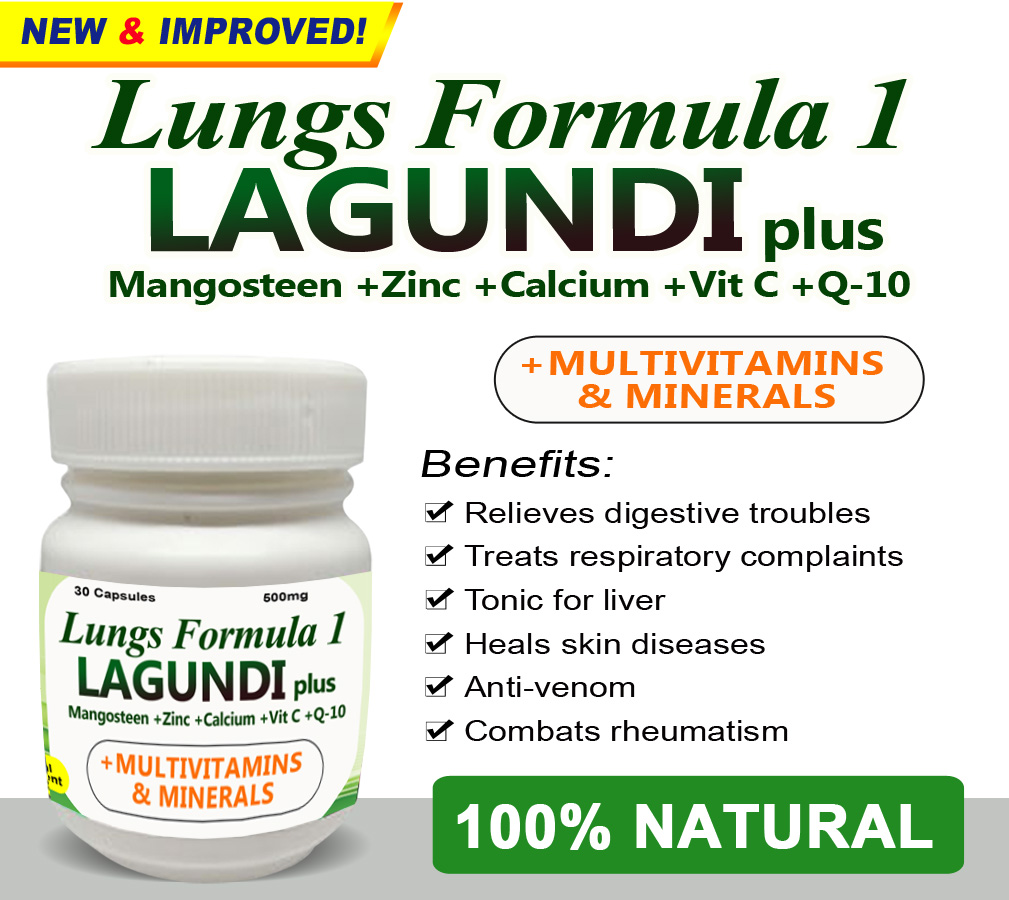Lung Formula 1 Lagundi Capsules+ multivitamins & minerals Lazada PH