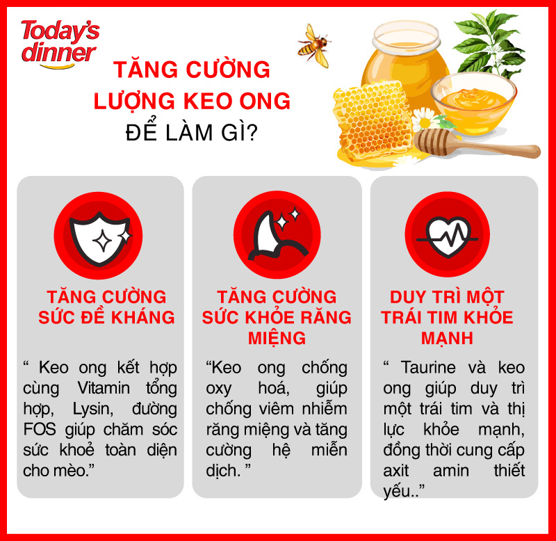 Hạt Today's Dinner Cho Mèo Mọi Lứa Tuổi 1kg