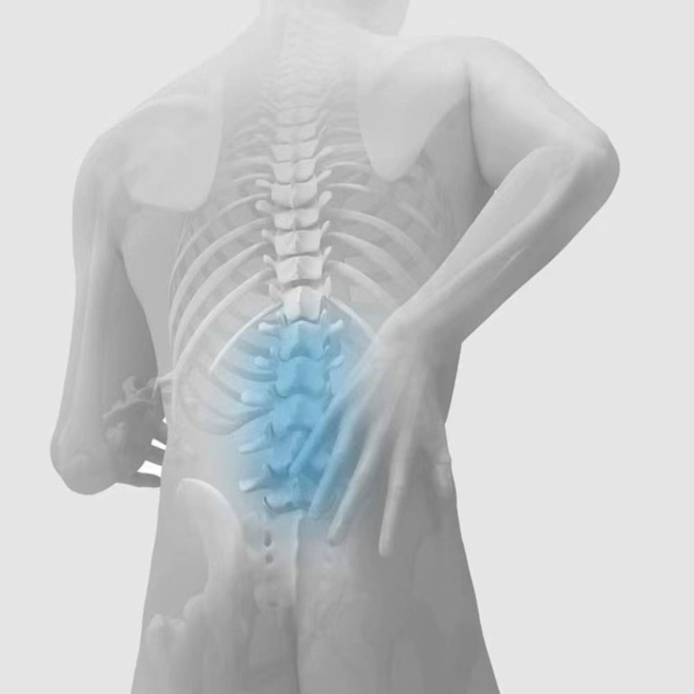 Xinyang941727 bông hoạt tính thắt lưng CuộN Ergonomic ngang lưng có thể điều chỉnh gối phổ dựa lưng bảo vệ mặt sau