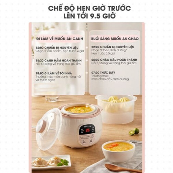 Nồi Nấu Cháo Chậm BEAR 0.8 lít[Hàng Sẵn,Bản Quốc Tế]