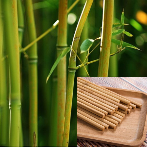 Combo 10 Đôi Đũa Tre Tự Nhiên Không Sơn
