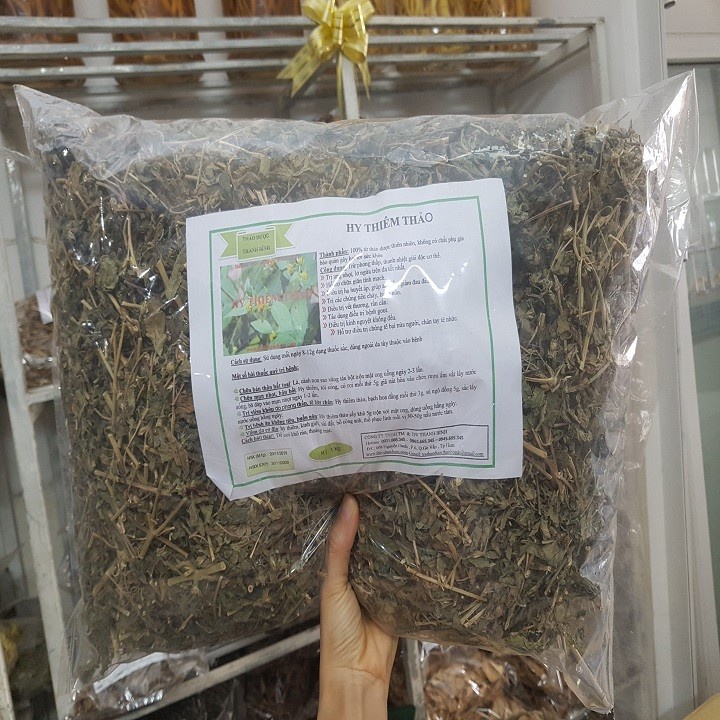 Cây hy thiêm thảo khô