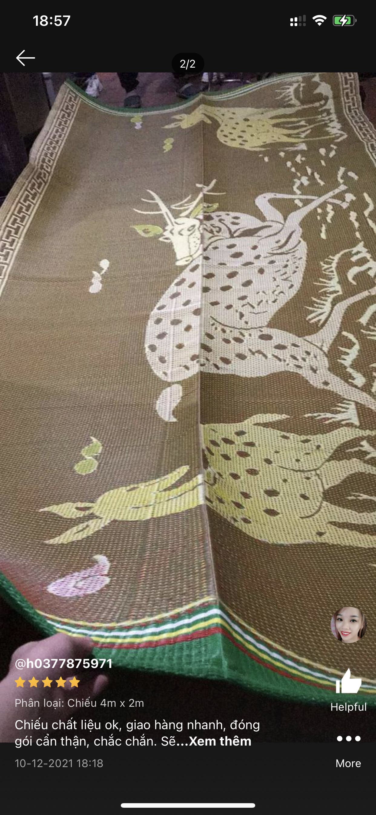 Chiếu nhựa 4m x 2m, 4m x 1m8, 3m x 1m8, 2m x 1m8 gấp gọn 2 mặt dài hàng đẹp ngồi ăn cỗ đủ kích