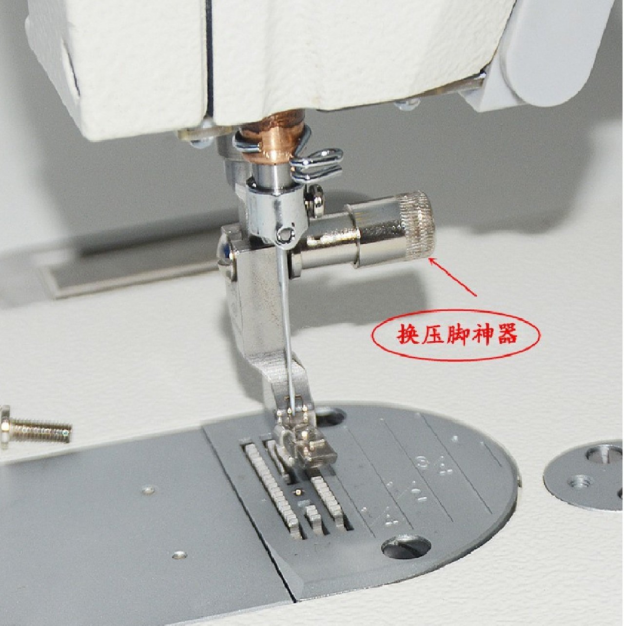 Ốc bắt chân vịt thông minh