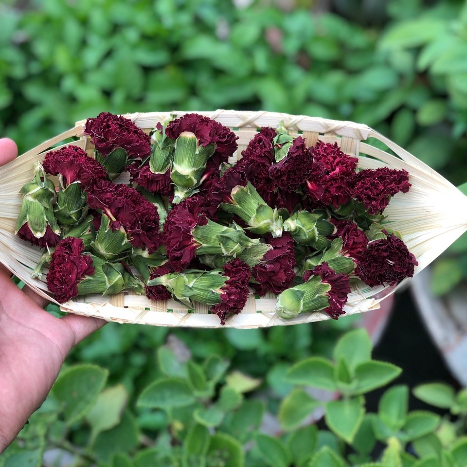 [HCM]Trà hoa cẩm chướng Salem 100g