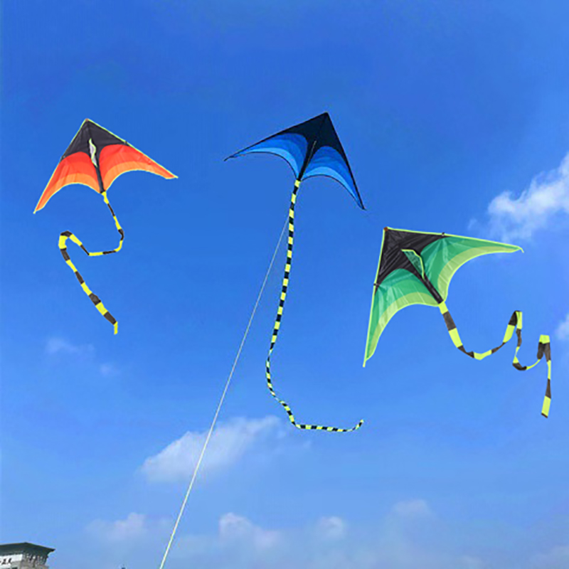 Large%20Delta%20Prairie%20Kites%20Flying%20Toys%20For%20Children%20Kites%20Handle%20Line%20Outdoor%20Sports%20Kites%20Plaid%20Professional%20Wind%20Kites%20AITENG%20-%20Image%202