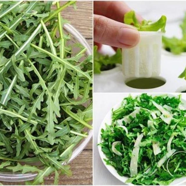 Hạt giống arugula rocket lá chẻ pro 1000h rau ngon lợi sức khoẻ