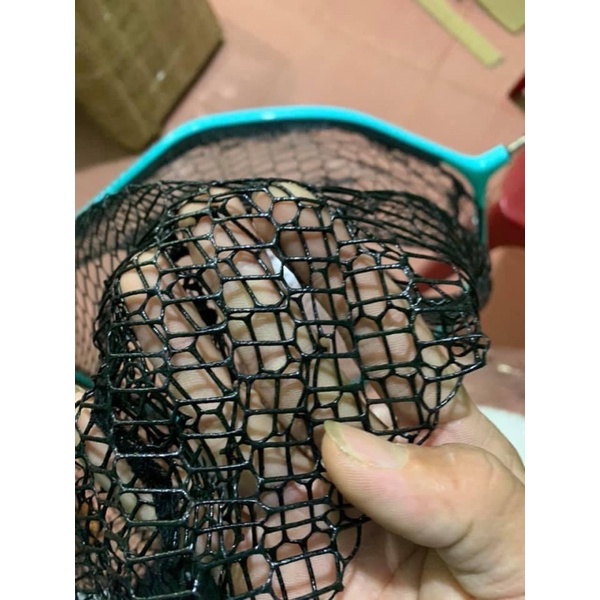 Mặt vợt săn hàng 55cm