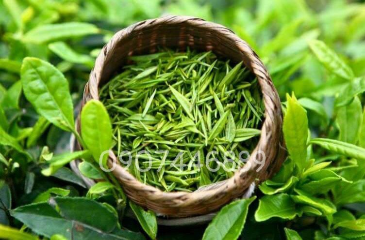 1KG TRÀ ĐẶC SẢN THÁI NGUYÊN