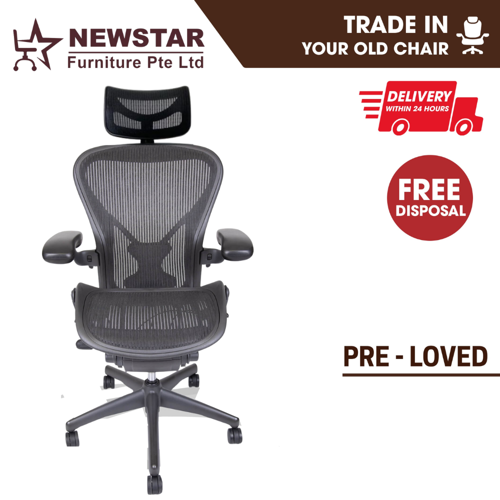 Herman Miller Aeron Chair Classic, Remastered Lumbar Support Model