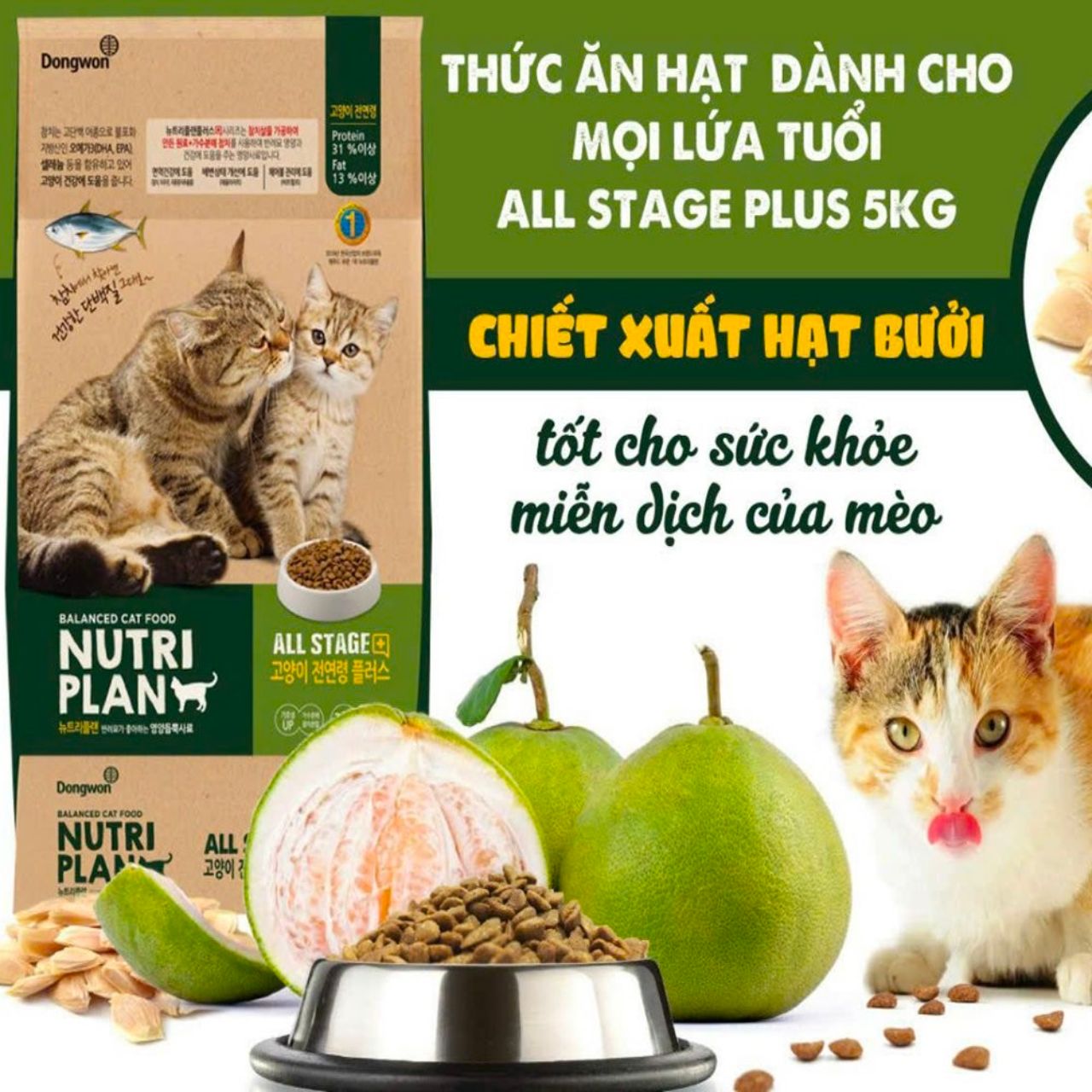 Thức Ăn Hạt Cao Cấp Dành Cho Mèo Mọi Lứa Tuổi Nutri Plan