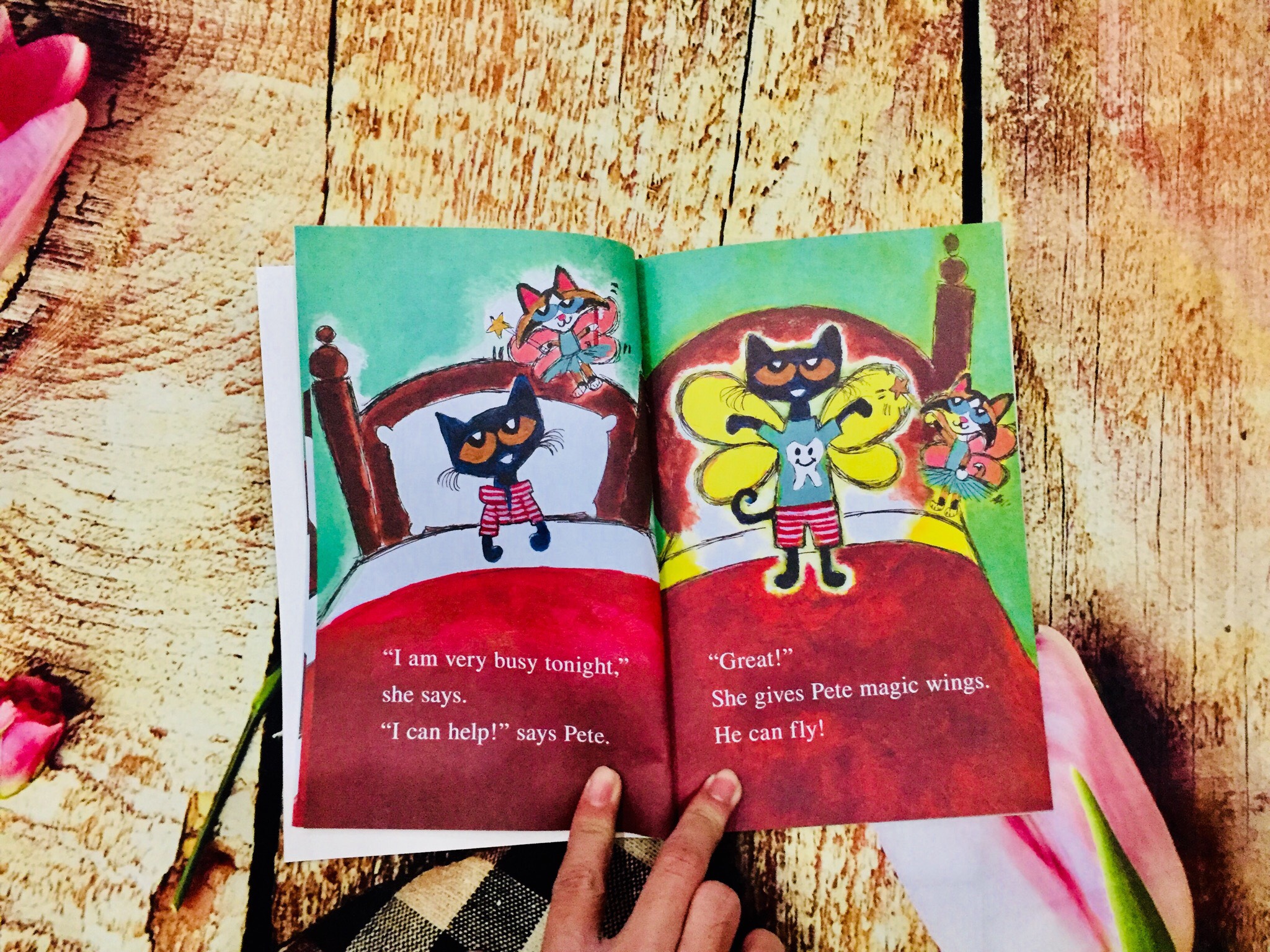 I Can Read Pete The Cat 28q