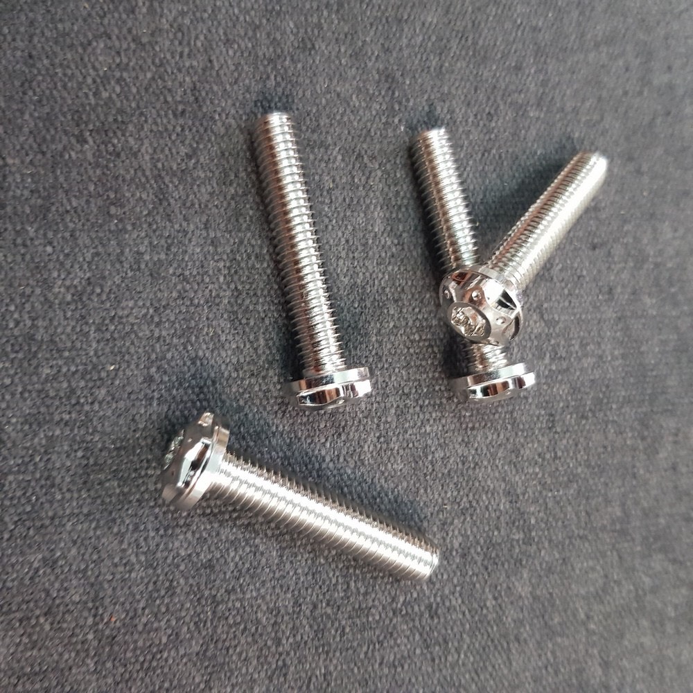 Ốc salaya 6ly2 - Inox (Giá 1 con).