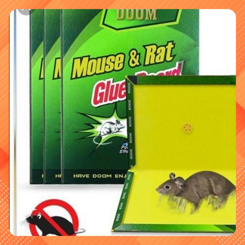 Combo 3 miếng dính bẫy chuột hiệu quả