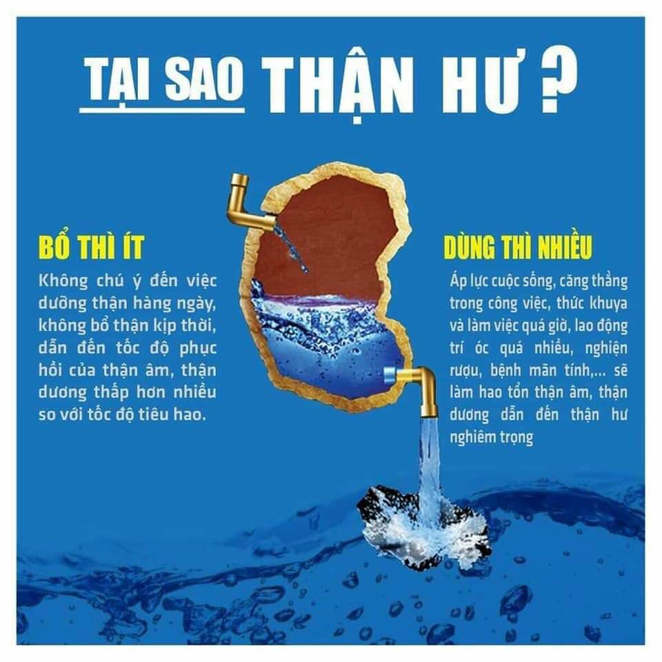Bổ thận Thiên Sư, viên bổ thận tiens
