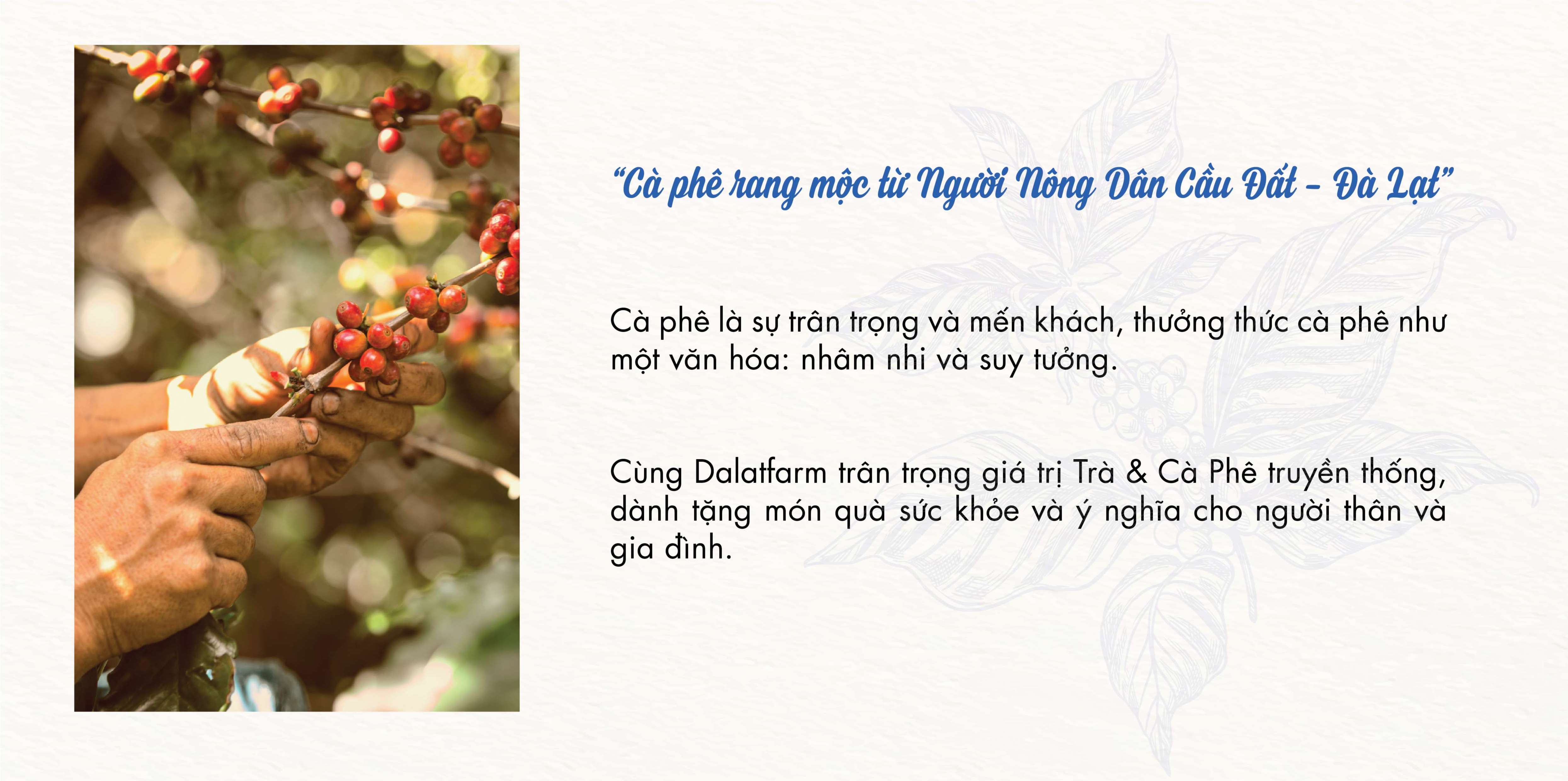 Hộp Quà Cà Phê Cầu Đất DalatFarm (Arabica - Robusta - Phin)