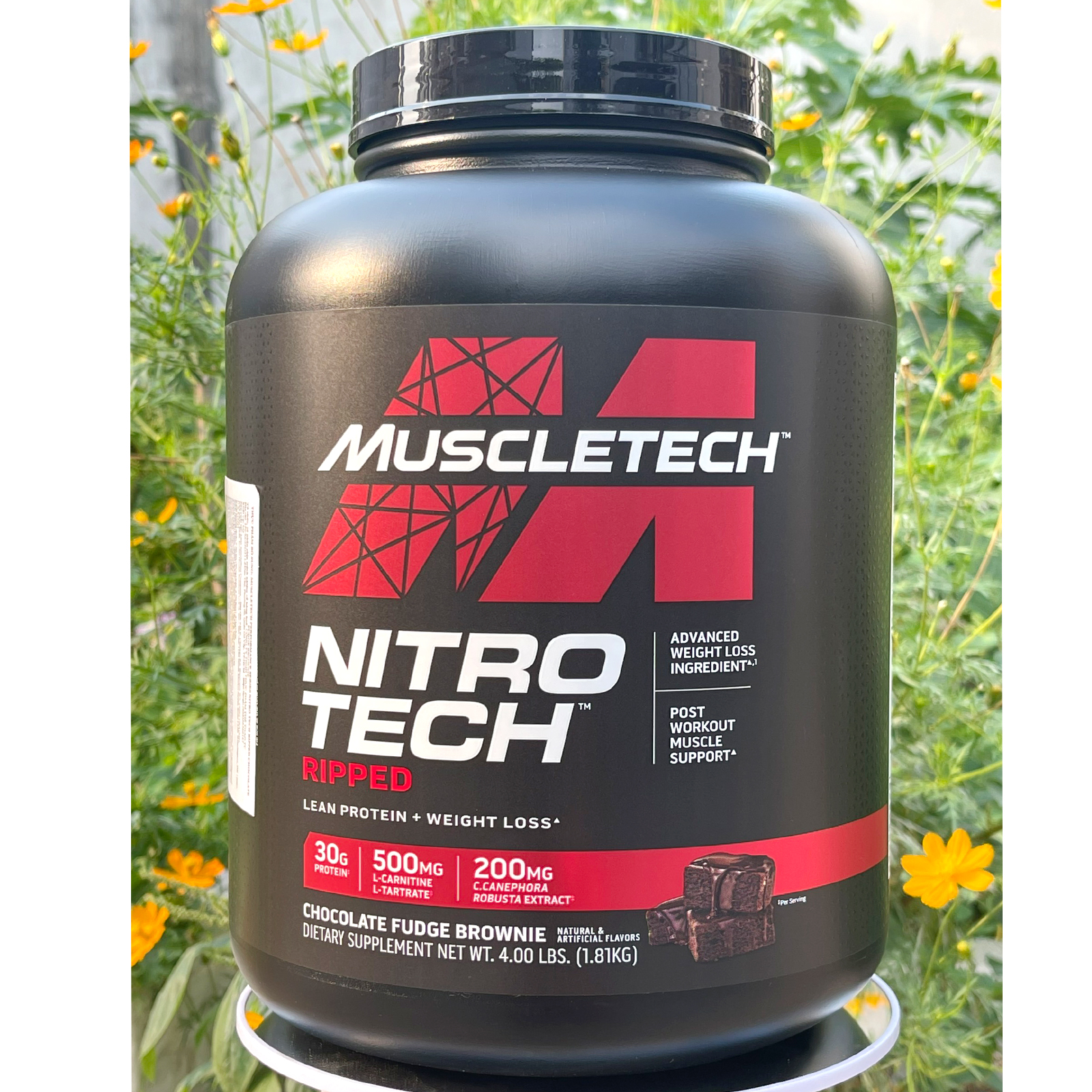 Sữa tăng cơ whey protein nitro tech ripped của muscle tech hộp 42 lần dùng - ảnh sản phẩm 2
