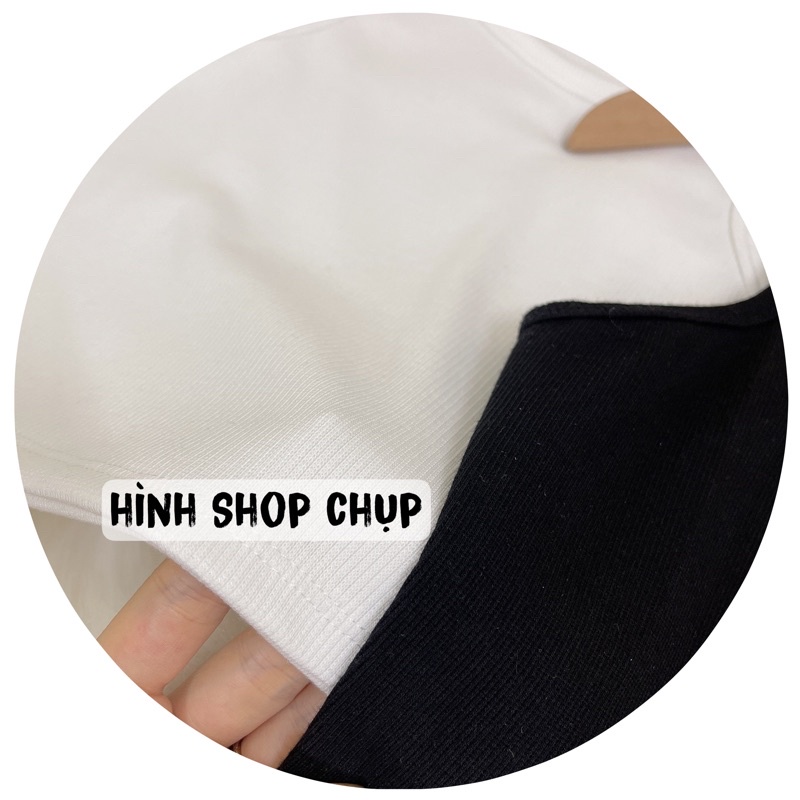 Áo CROPTOP ba lỗ nữ basic siêu mát