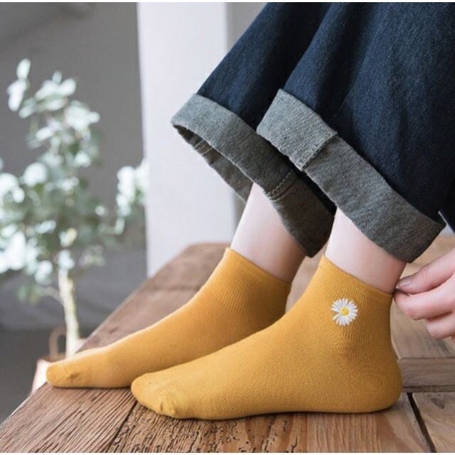 TÚI 10 ĐÔI TẤT HOA CÚC CỔ NGẮN