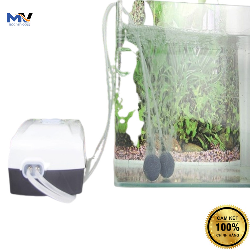 [ Tặng 1m dây và 2 cục sủi ] Máy sủi oxy tích điện Jebo 9950 2 vòi mini siêu êm