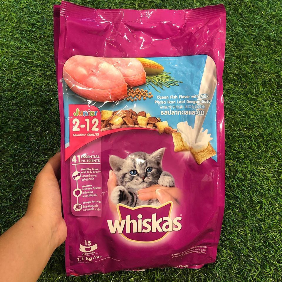 Whiskas Junior Thức ăn hạt cho mèo con gói 1,1kg