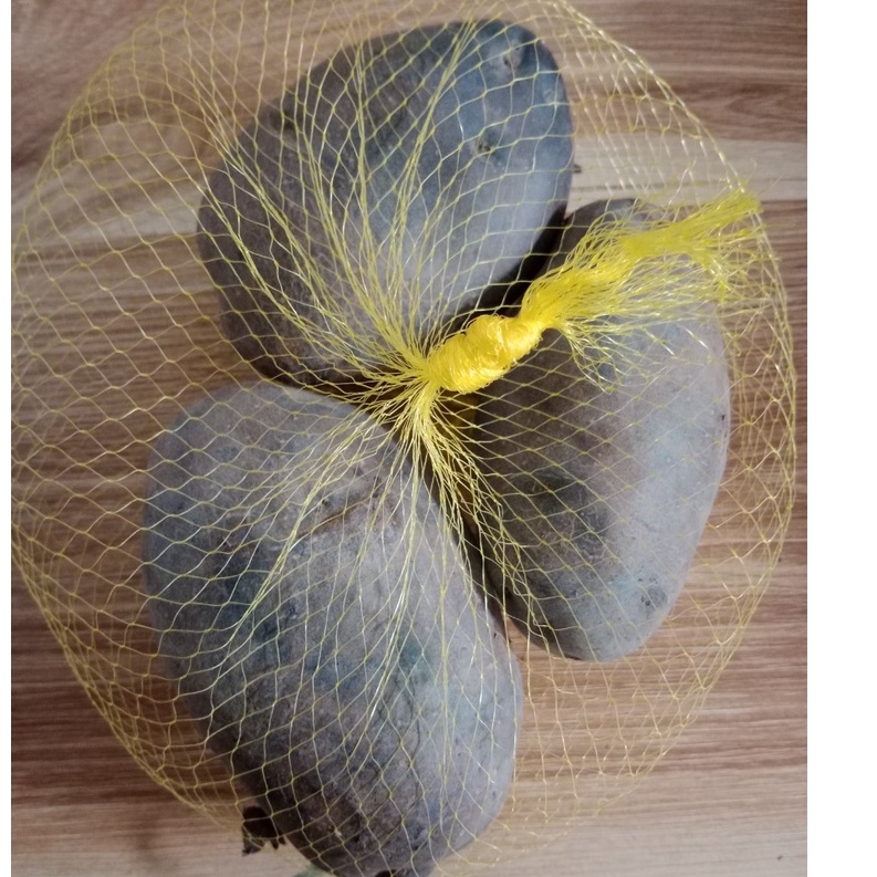 Củ giống khoai tây tím