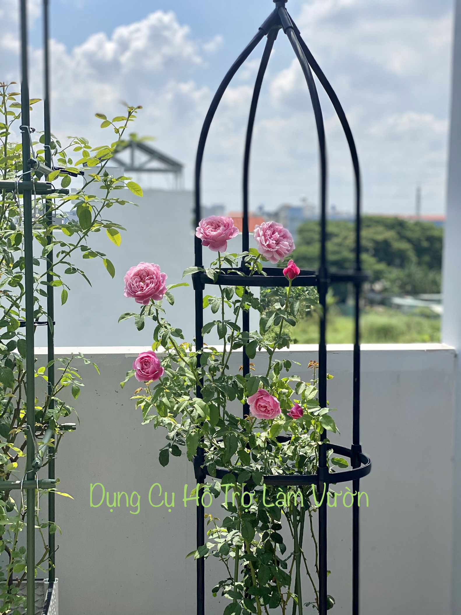Khung trồng hoa hồng cao 180-220cm cao cấp của Nhật