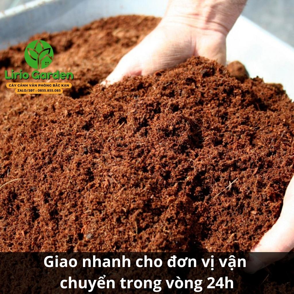 1kg xơ dừa xay