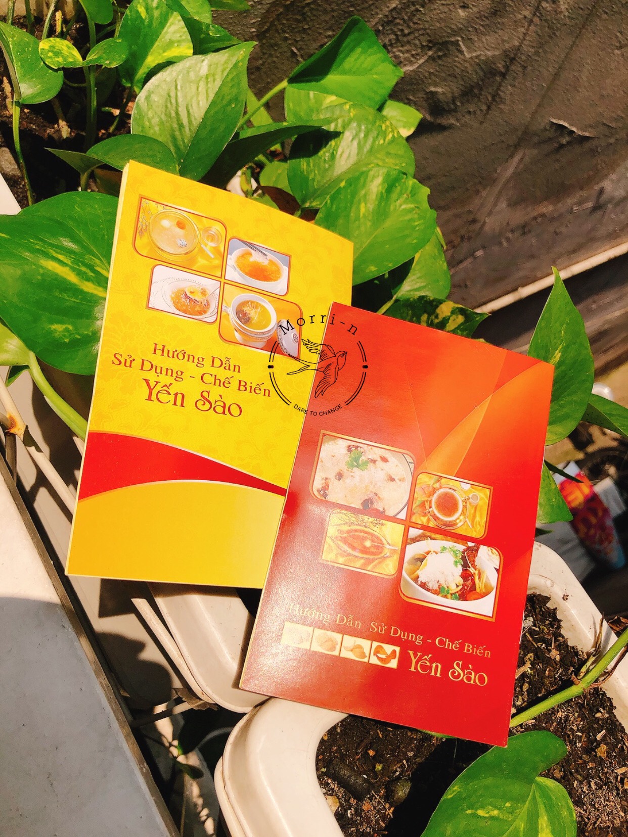 CUỐN CẨM NANG YẾN SÀO CAO CẤP BẢN ĐẸP